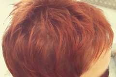 Couleur roux